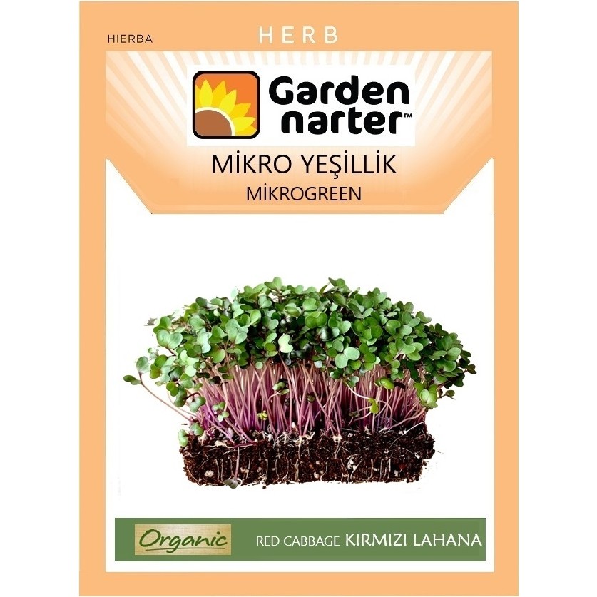 Garden Narter Mikro Yeşillik İçin Microgreen Organik Kırmızı Lahana Tohumu 7 gr 1750 Tohum - 1 Adet Tohum Fiyatı