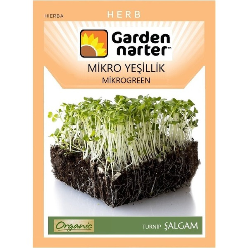 Garden Narter Mikro Yeşillik Için Microgreen Organik Şalgam Turpu Tohumu 10 gr 5000 Tohum - 1 Paket Tohum Fiyatı