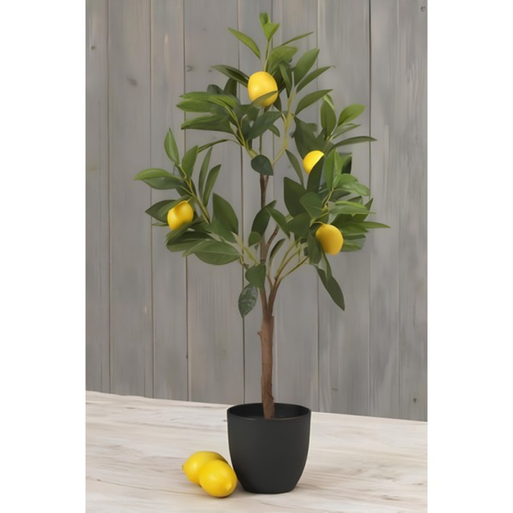 Garden Online Yediveren Mayer Limon Fidanı - 4/5 Yaş Meyve Fidanı Üretim Saksısında 130 - 150 cm Fidan Fiyatı