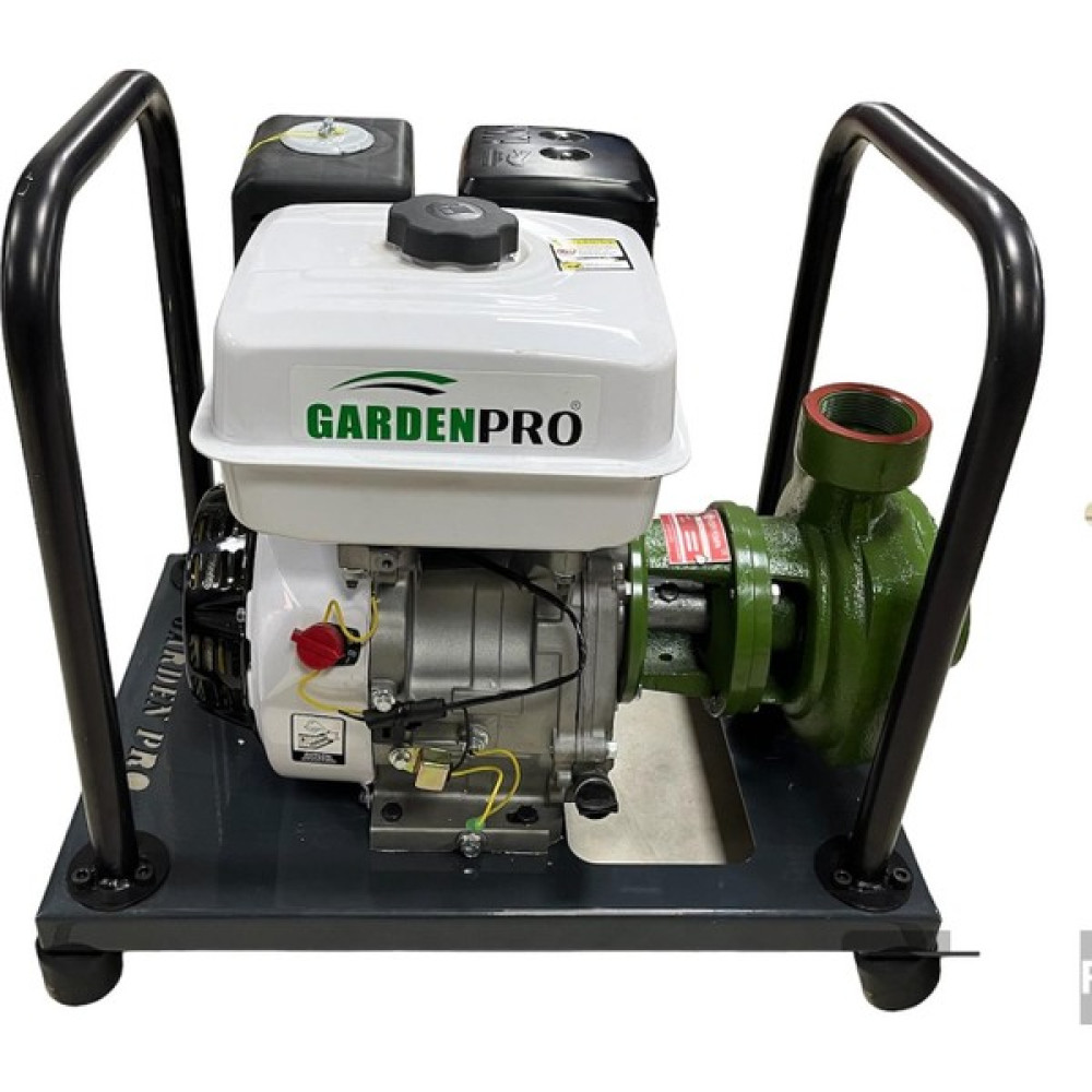 Garden Pro Gardenpro WP-20/145H Yüksek Basınçlı Döküm Pompalı Su Motoru 145 mt Su Motoru Fiyatı