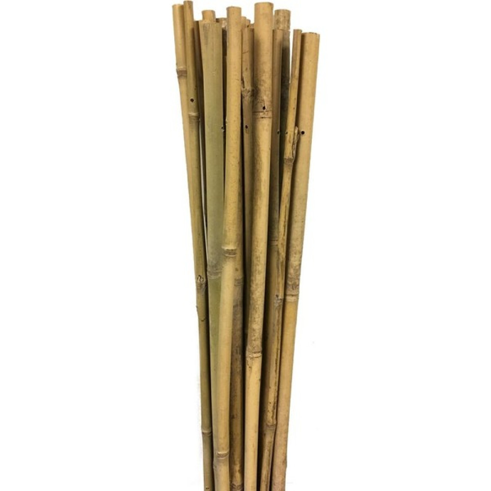 Gardener 63717 Bambu Destek Çubuğu 10'lu 12-14 mm X 150 cm Oto Boyaları Fiyatı