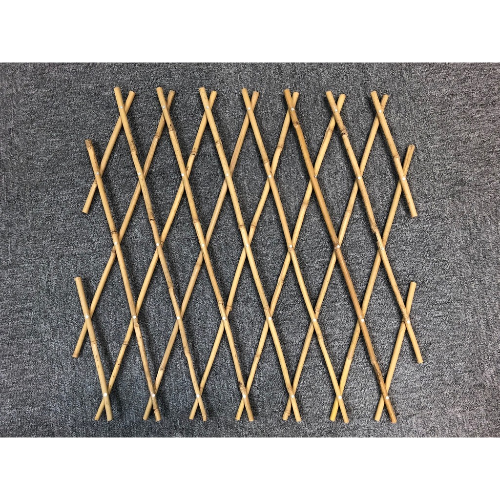 Gardener Bmb04 Bambu Sarmaşık Askısı Akordeon Kafes 45Cm X 180Cm SSD / Solid State Drive Fiyatı