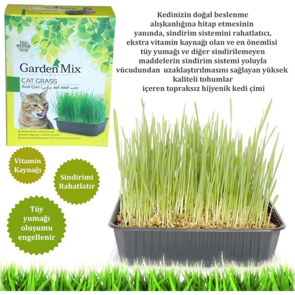 Gardenmix Kedi Çimi Evcil Hayvan Ürünleri Fiyatı