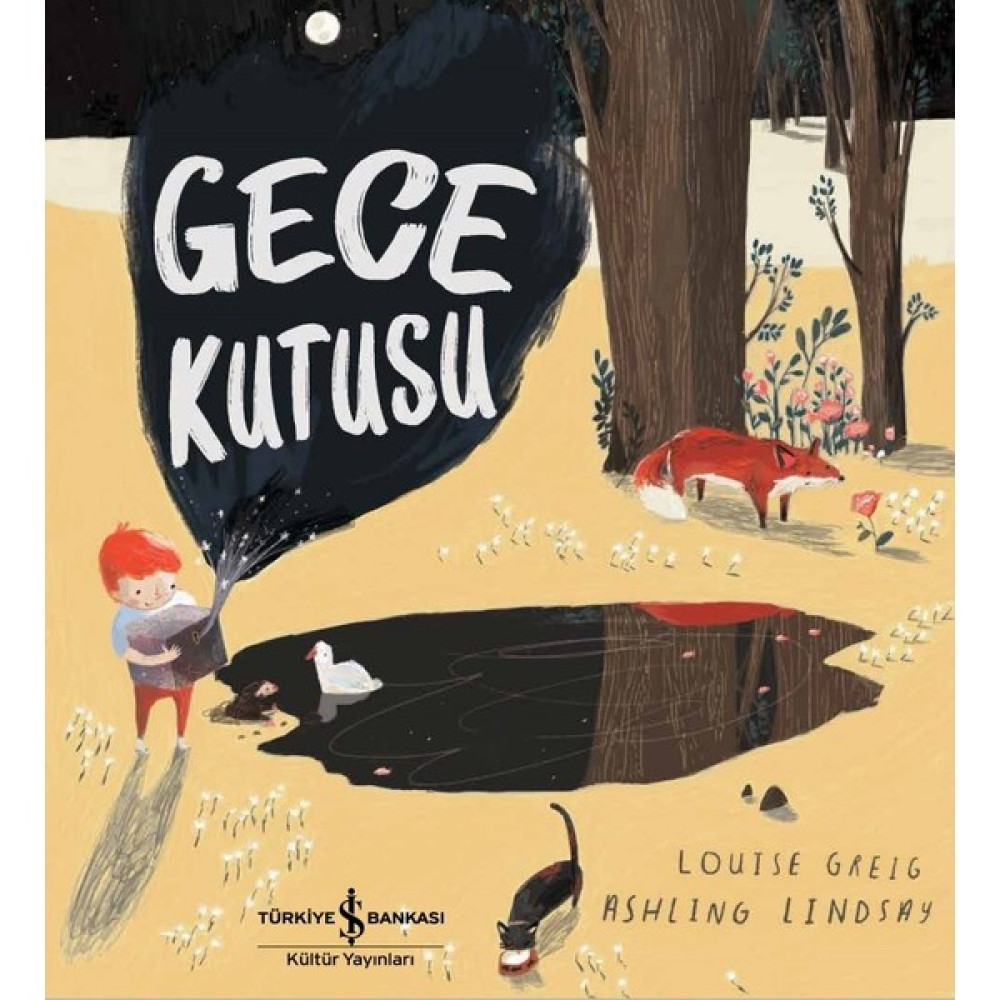 Gece Kutusu - Louise Greig Çocuk Roman Fiyatı