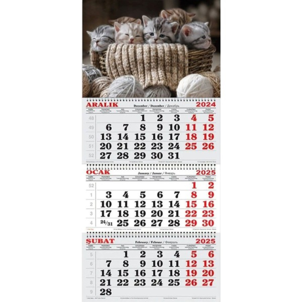 GENC DIJITAL BASKI 2025 Yılı Gemici Takvimi-Minnoş Kediler Takvim Fiyatı