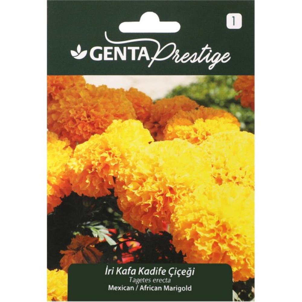 Genta Çiçek Tohumu Iri Kafa Kadife Çiçeği Genta Prestige - 1 gr Tohum Fiyatı
