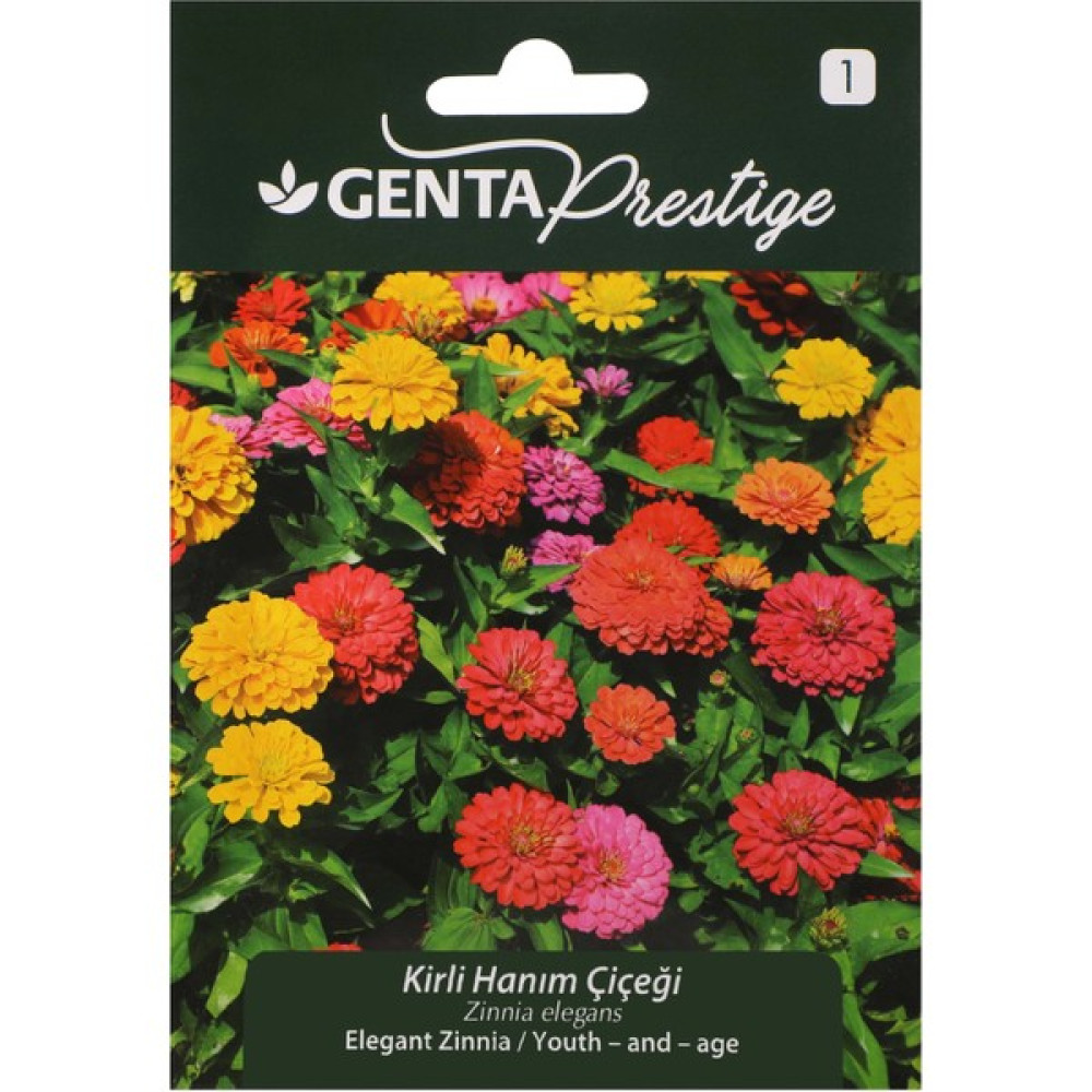 Genta Çiçek Tohumu Kirli Hanım Çiçeği Genta Prestige - 1 gr Tohum Fiyatı