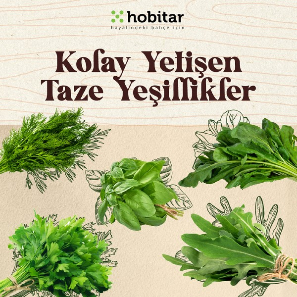 Genta Hobitar Kolay Yetişen Yaze Yeşillikler Sebze Tohumu Paketi - 5 Çeşit Aromatik Tohumu - 1 gr Tohum Fiyatı