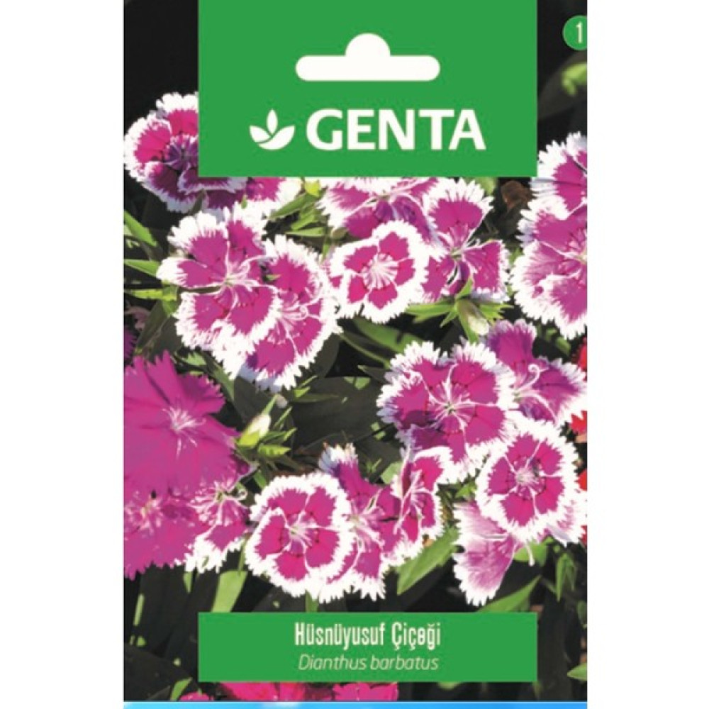 Genta Hüsnüyusuf Çiçeği Tohumu, Hüsnü Yusuf Çiçeği - 10 gr Tohum Fiyatı