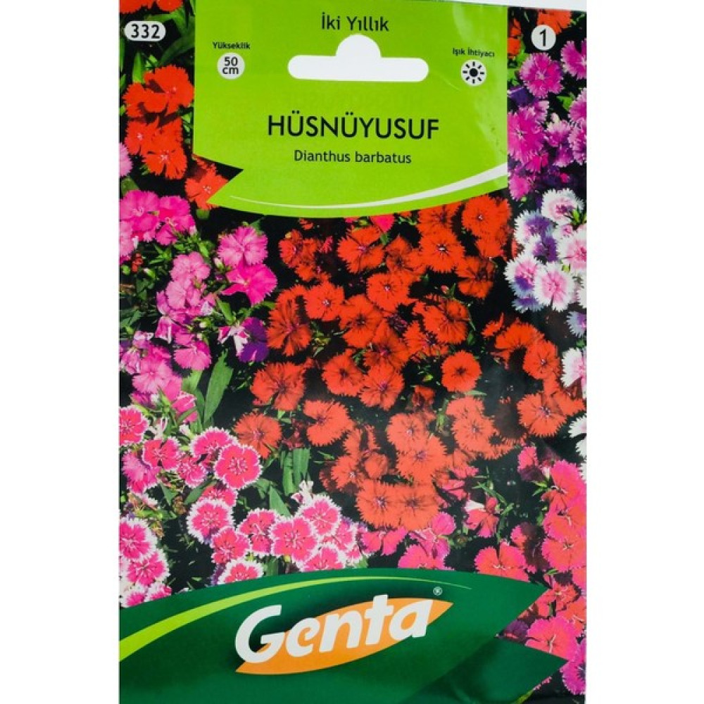 Genta Hüsnüyusuf Çiçeği Tohumu Tohumu (G/72) - 1 Adet Tohum Fiyatı