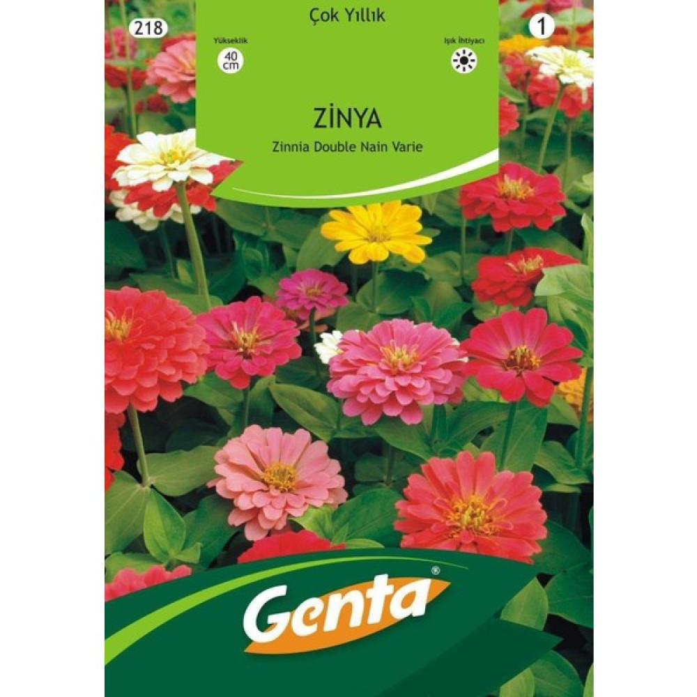 Genta Kirli Hanım Çiçeği Tohumu - 1 Adet Tohum Fiyatı