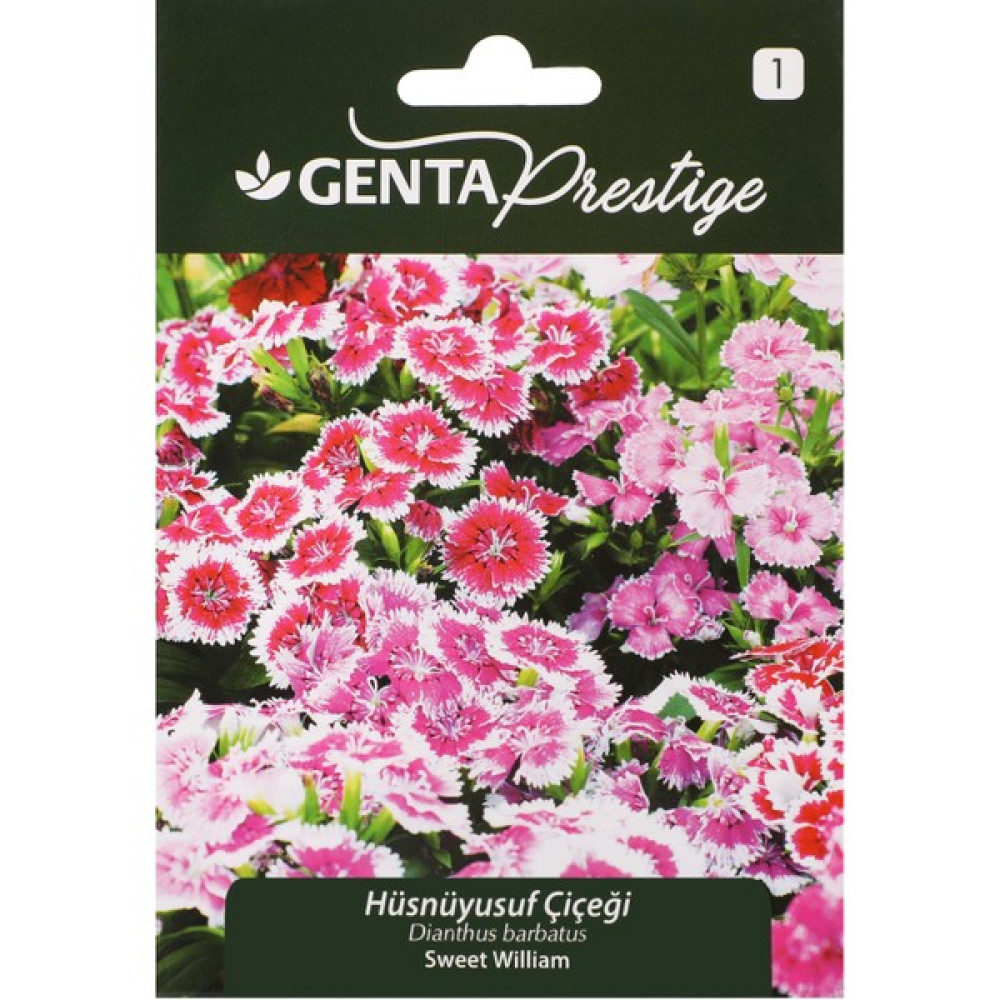 Genta Prestige Çiçek Tohumu Hüsnüyusuf Çiçeği Genta Prestige - 1 gr Tohum Fiyatı