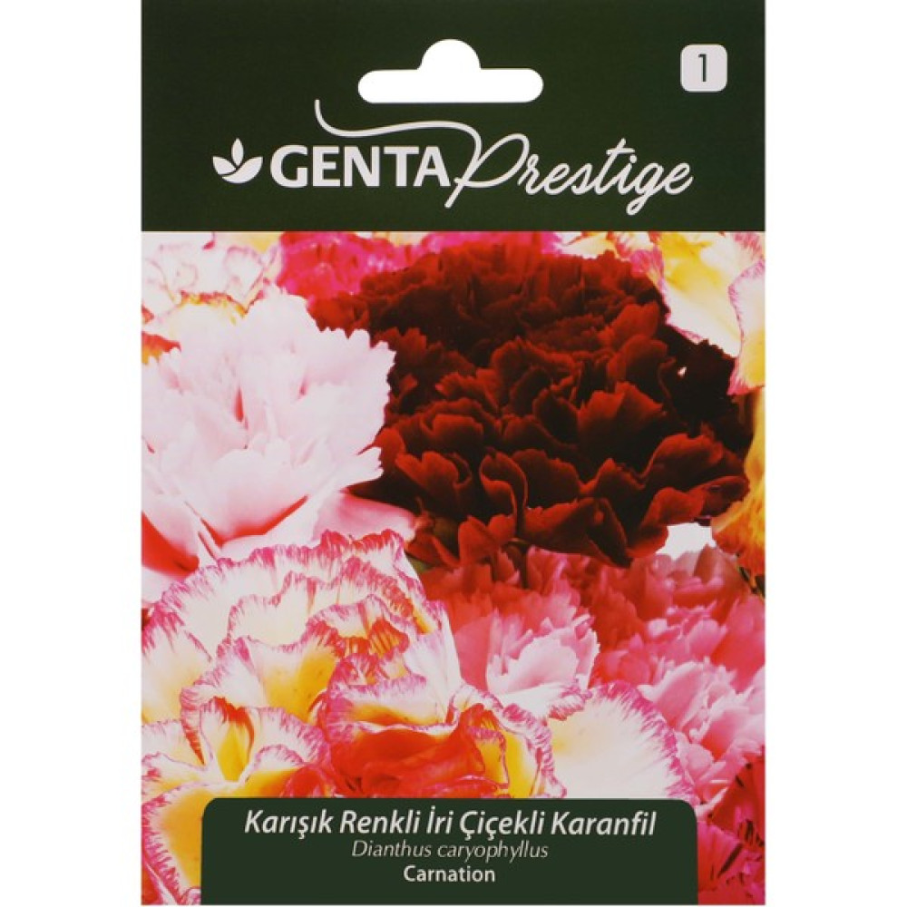 Genta Prestige Çiçek Tohumu Karışık Renkli Iri Çiçekli Karanfil Genta Prestige - 1 gr Tohum Fiyatı