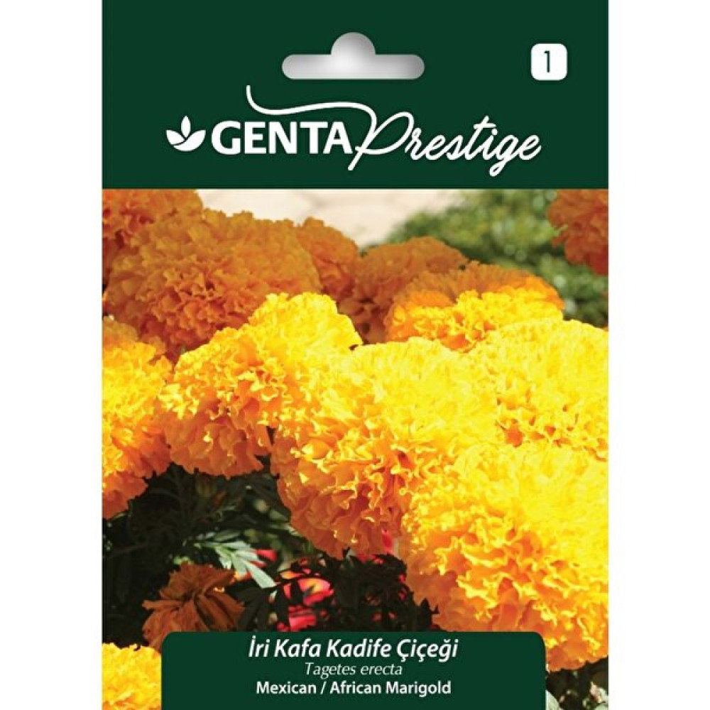 Genta Prestige Iri Kafa Kadife Çiçeği Tohumu - 10 gr Tohum Fiyatı