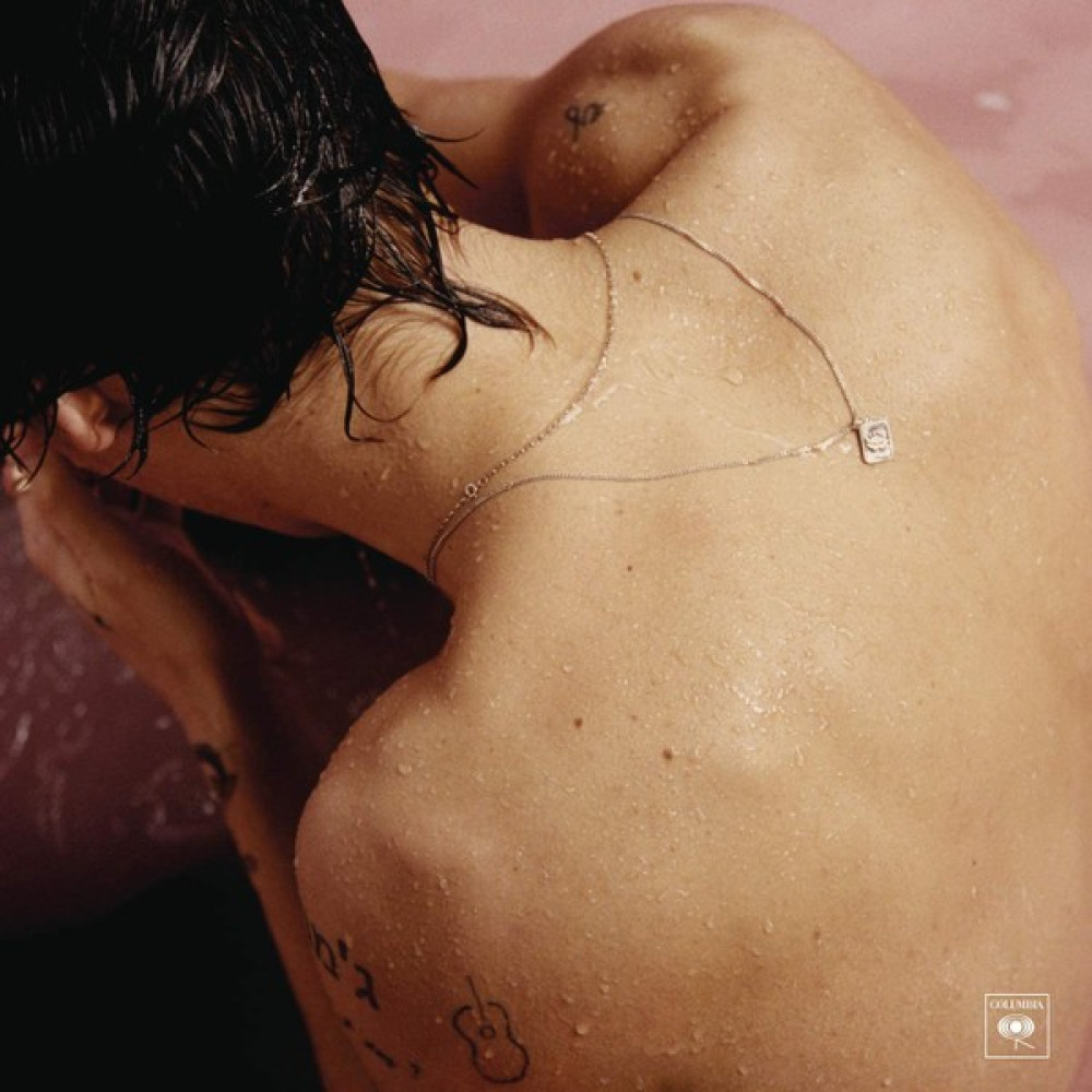 Gereksiz Şeyler Harry Styles Harry Styles Plak Pikap & Aksesuarları Fiyatı
