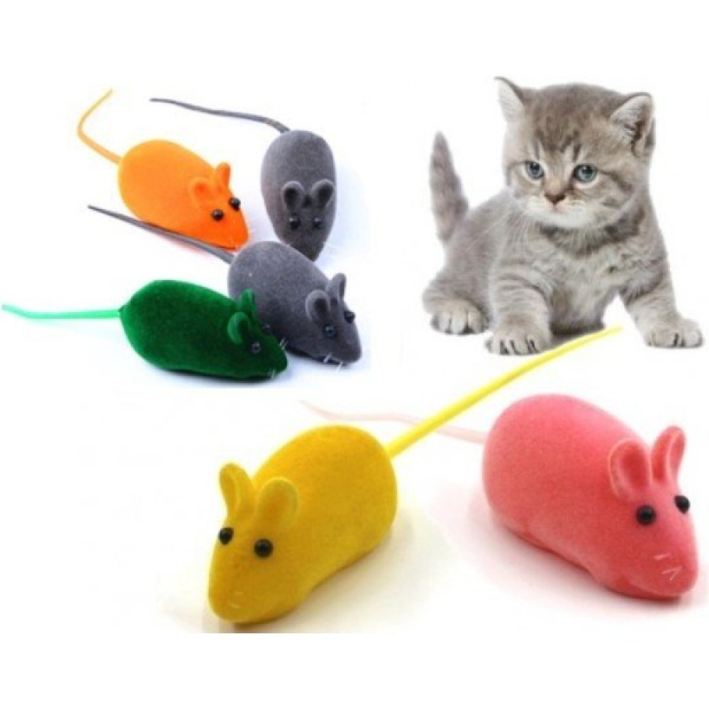 Gezeroğlu Petshop grezeroğlu Petshop Kedi Eğitim Oyun Faresi Sesli 2 'li Evcil Hayvan Ürünleri Fiyatı