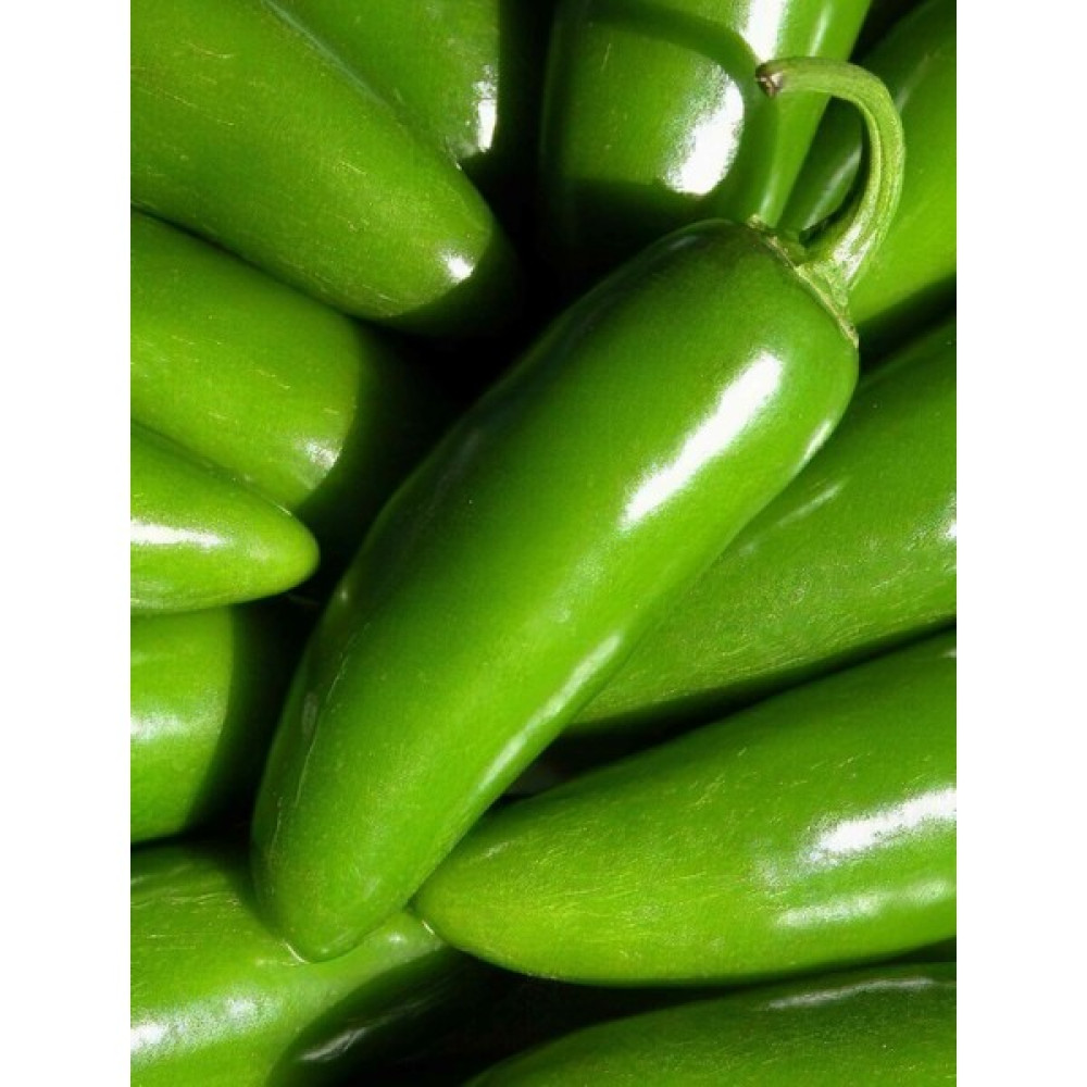 Gezgindenal Barut F1 (Hibrit) Jalapeno Biber Tohumu (20 Adet) Tohum Fiyatı