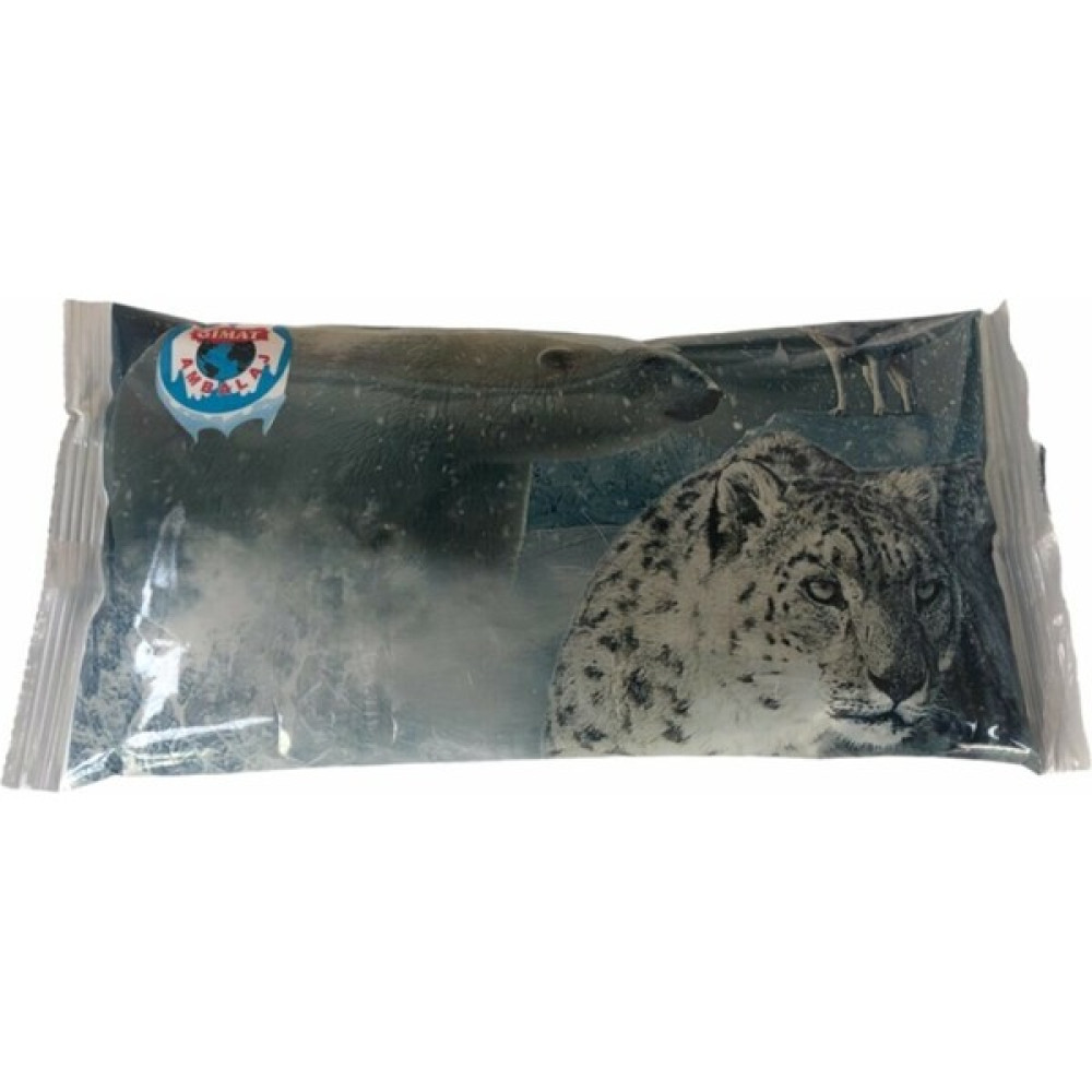 Gimat Jel Içerikli 500 gr Poşet Buz Aküsü 10 Adet Cold Chain - Renkli Oto Boyaları Fiyatı