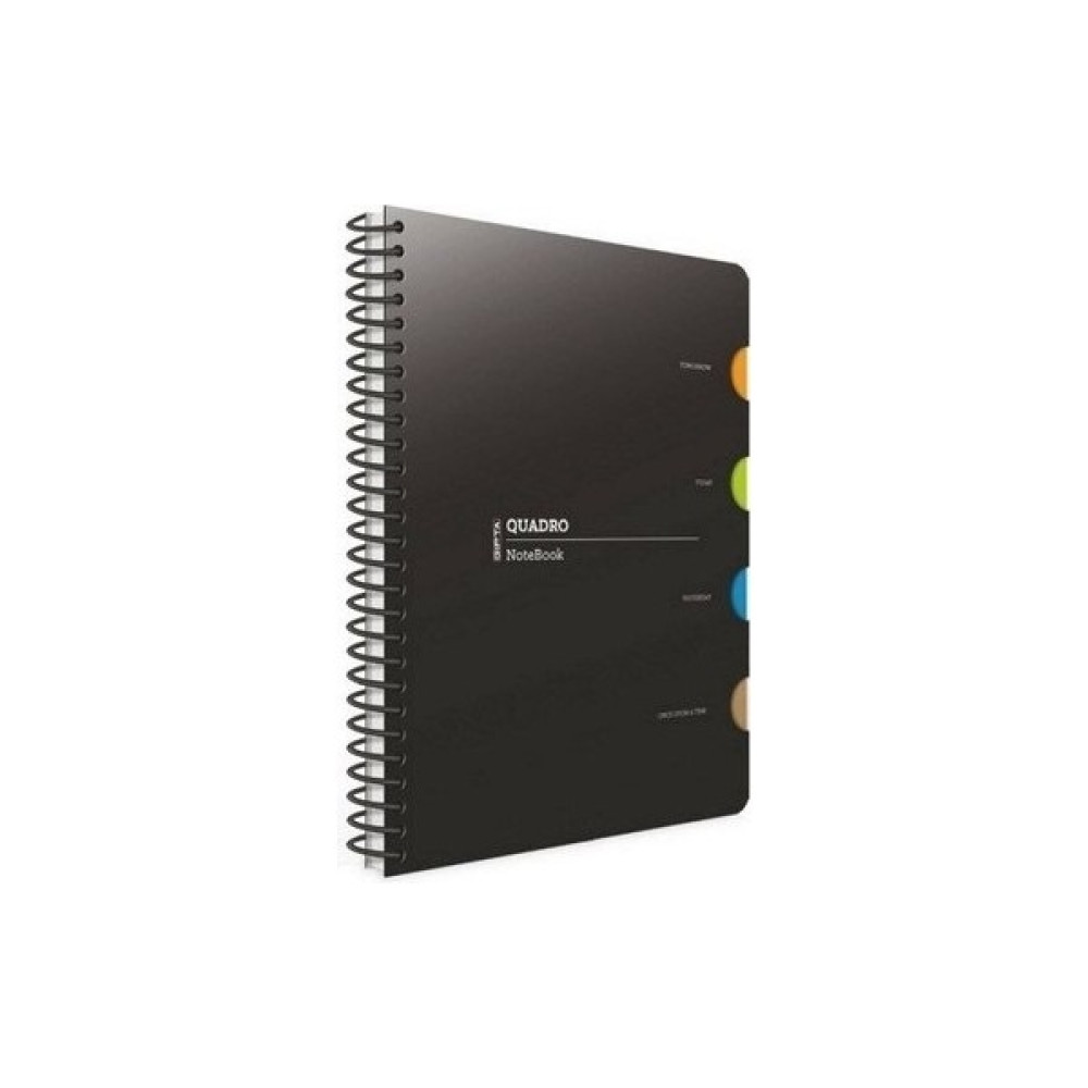 Gıpta Quadro A4 Çizgili 4 Seperatörlü Spiralli Plastik Kapaklı Defter 150 Yaprak Spiralli Defter Fiyatı