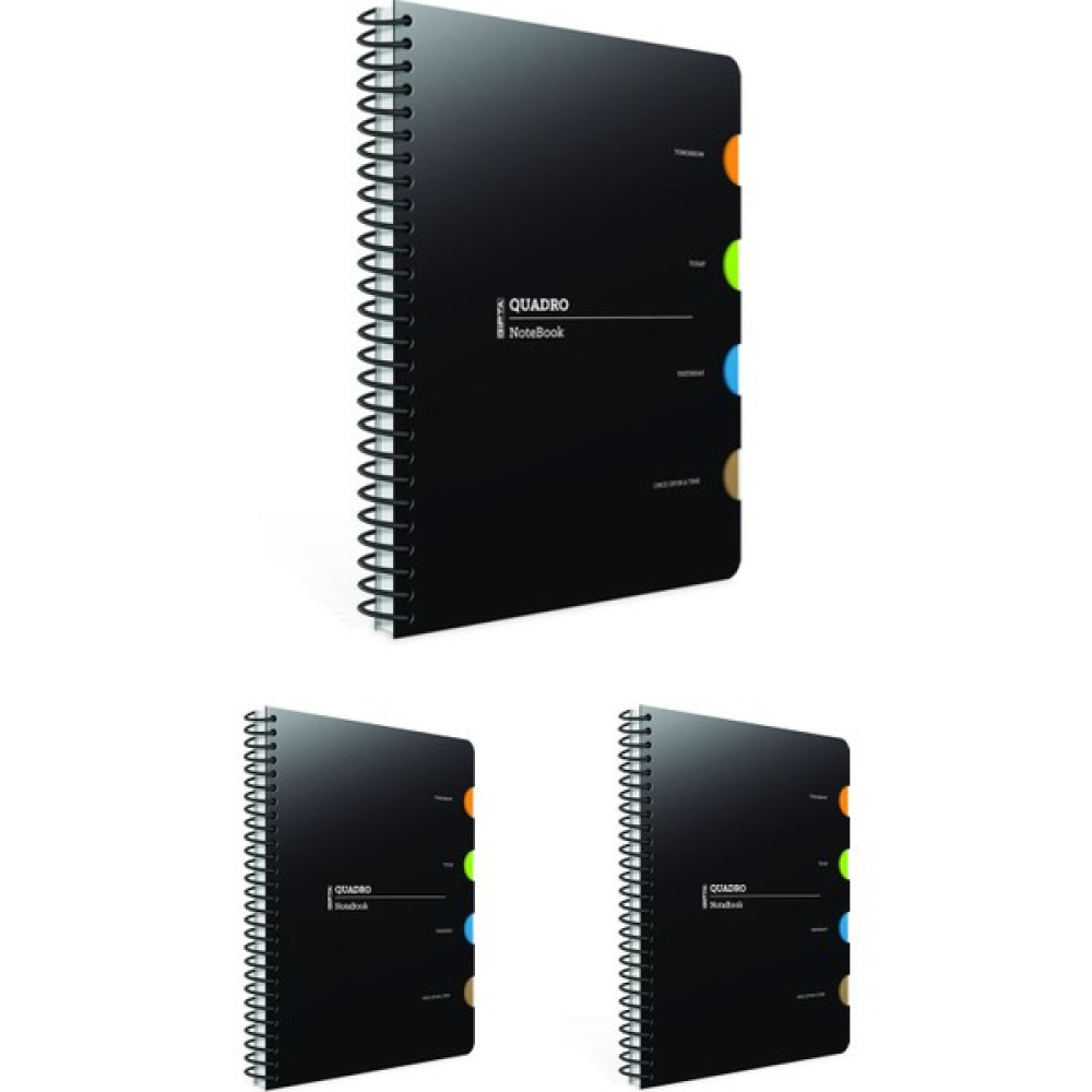 Gıpta Quadro Spiralli 4 Bölmeli Pp Kapak 150 Yaprak Kareli Defter 17 x 24 cm 3'lü Spiralli Defter Fiyatı