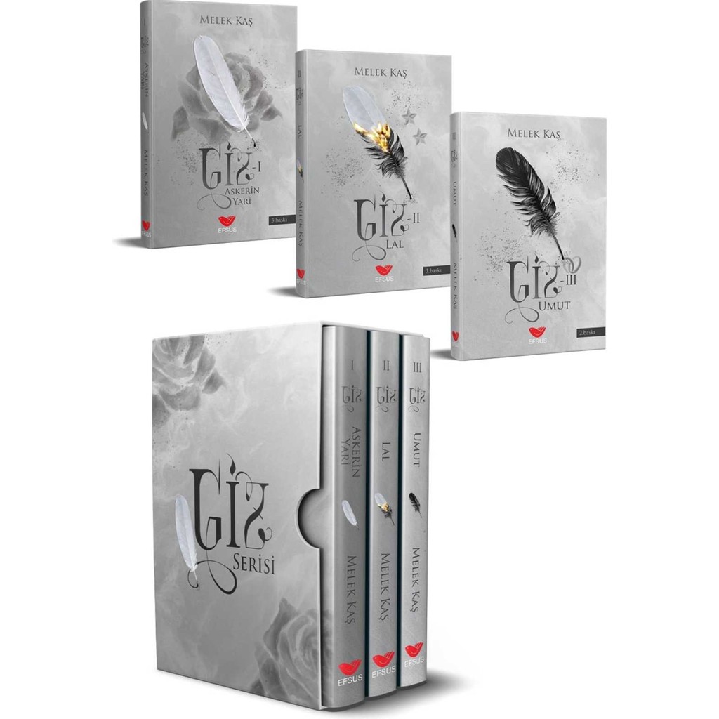 Giz Serisi - AYRAÇ Çeviri Romanlar Fiyatı