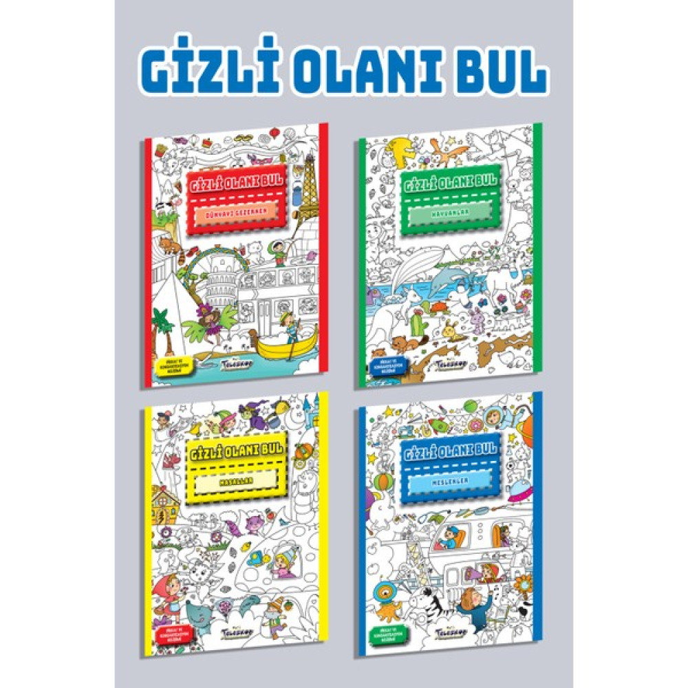 Gizli Olanı Bul Aktivite & Eğitici Kitaplar Fiyatı