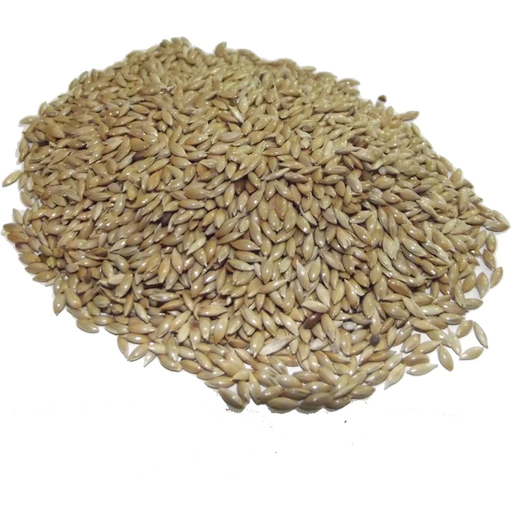 Glory Sade Kanarya Yemi̇ Aspur 1 kg Diğer Fiyatı