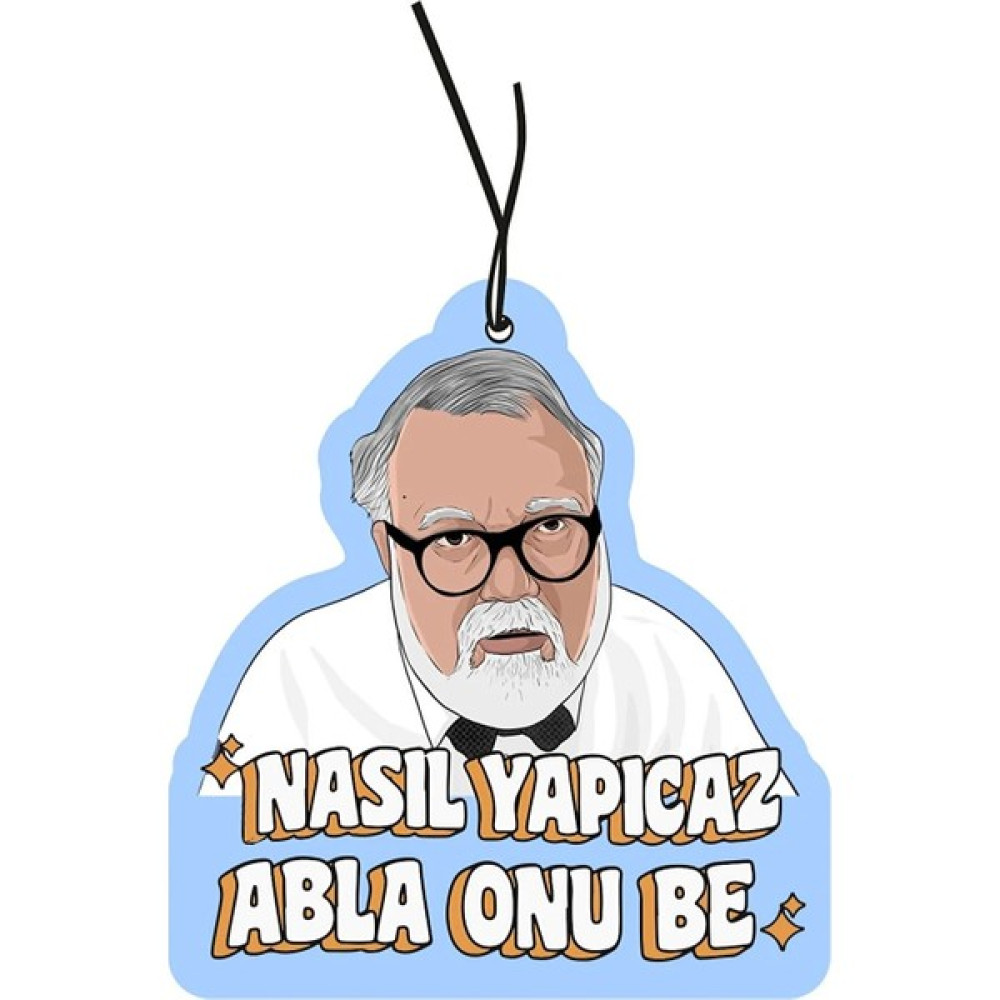 Gloss Detailing Celal Şengör Nasıl Yapıcaz Abla Onu Be Tasarımlı Komik Araç Kokusu ve Oto Aksesuarı Oto Kokuları Fiyatı