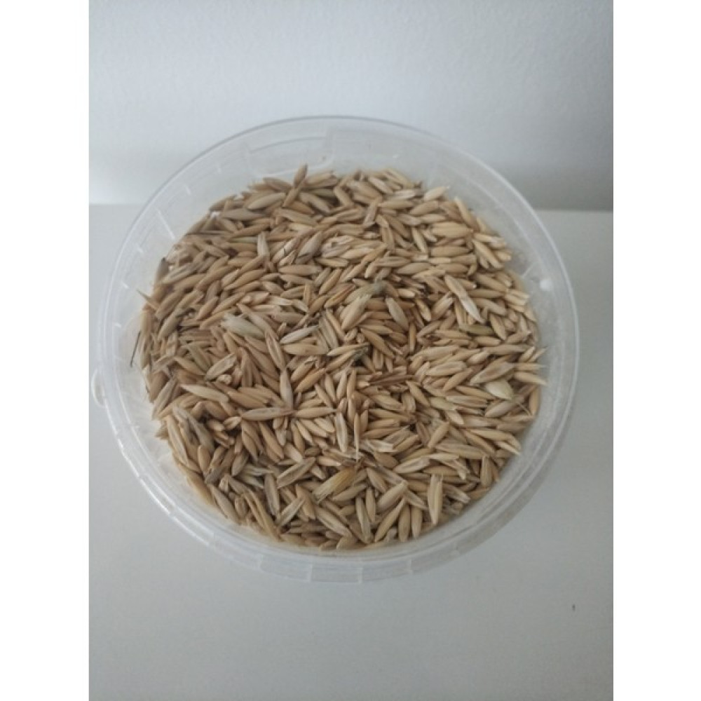 Gold Mind 3 kg Kuş Yemi ( Kabuklu Yulaf ) 3 Kg. Papağan Kanarya, Muhabbet Kuşu, Güvercin Için. Evcil Hayvan Ürünleri Fiyatı
