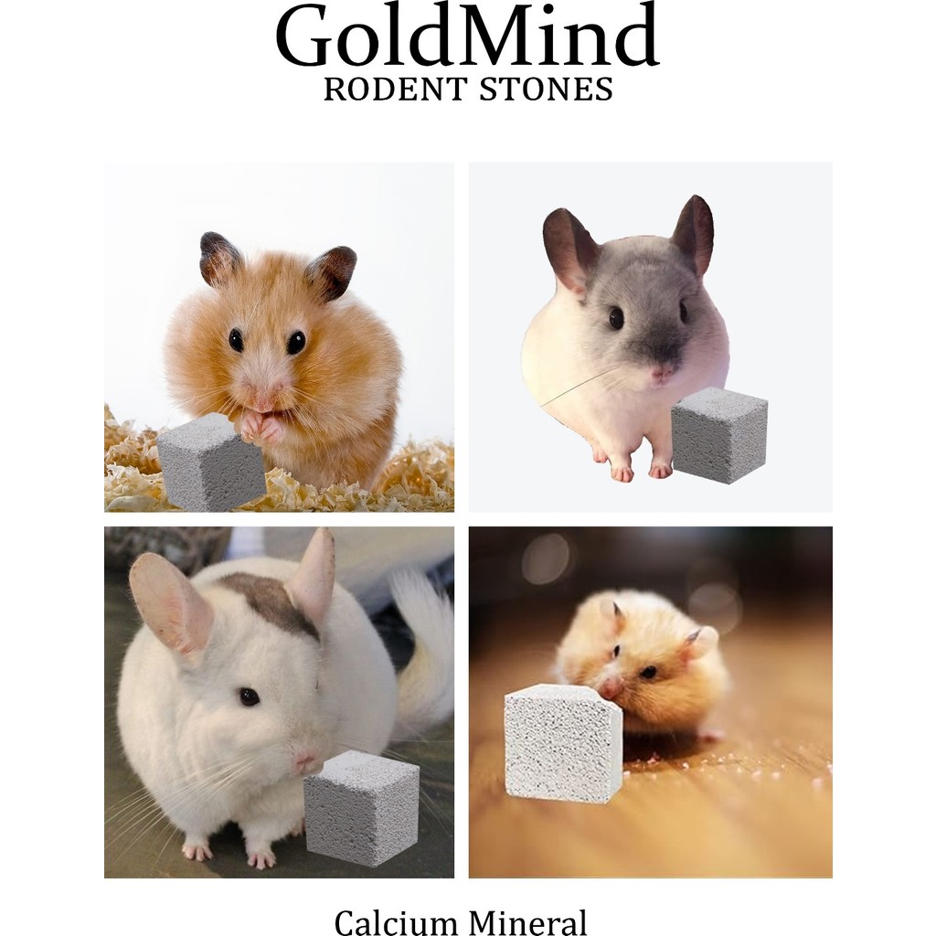 Gold Mind Kemirgen Taşı (3’lü Paket) Kemirme Taşı, Diş Törpüsü, Kalsiyum Mineralli Yalama TAŞI.(3ADET) Diğer Fiyatı