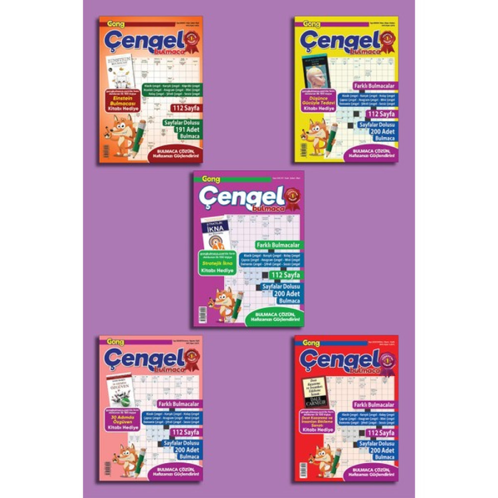 Gong Çengel Bulmaca 5'l Set Puzzle & Aksesuarları Fiyatı