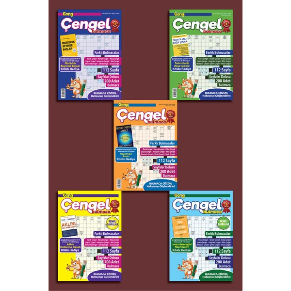 Gong Çengel Bulmaca 5'li Set 2 Puzzle & Aksesuarları Fiyatı