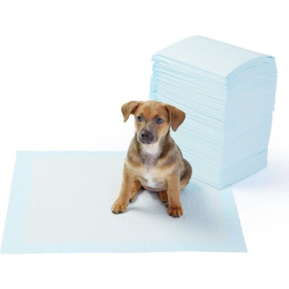 Good Care Kedi Köpek Çiş Eğitim Pedi 60X90 20 Adet Evcil Hayvan Ürünleri Fiyatı