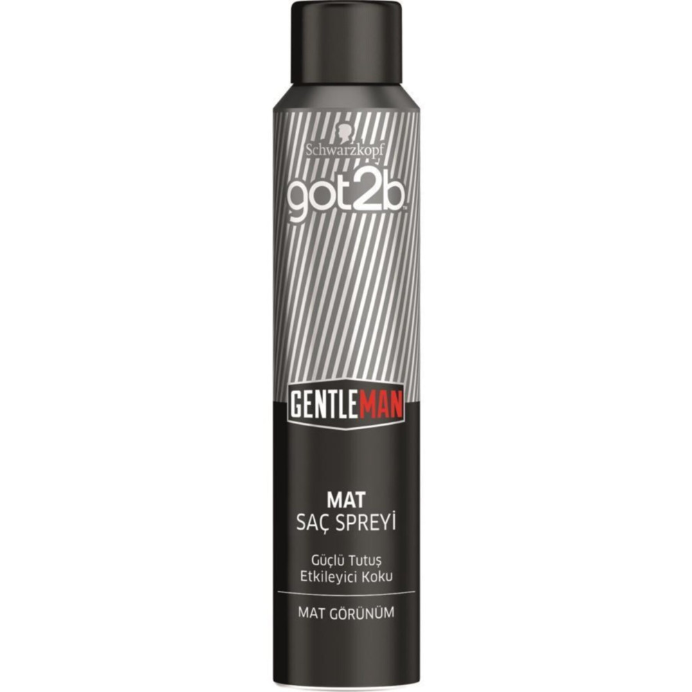 Got2B Gentleman Mat Saç Spreyi 200 ml Saç Şekillendirici Sprey Fiyatı
