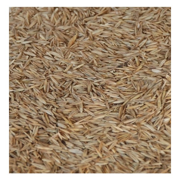 Greengrass Greengrass 6 Karışımlı Çim Tohumu 1kg - 1 kg Diğer Fiyatı