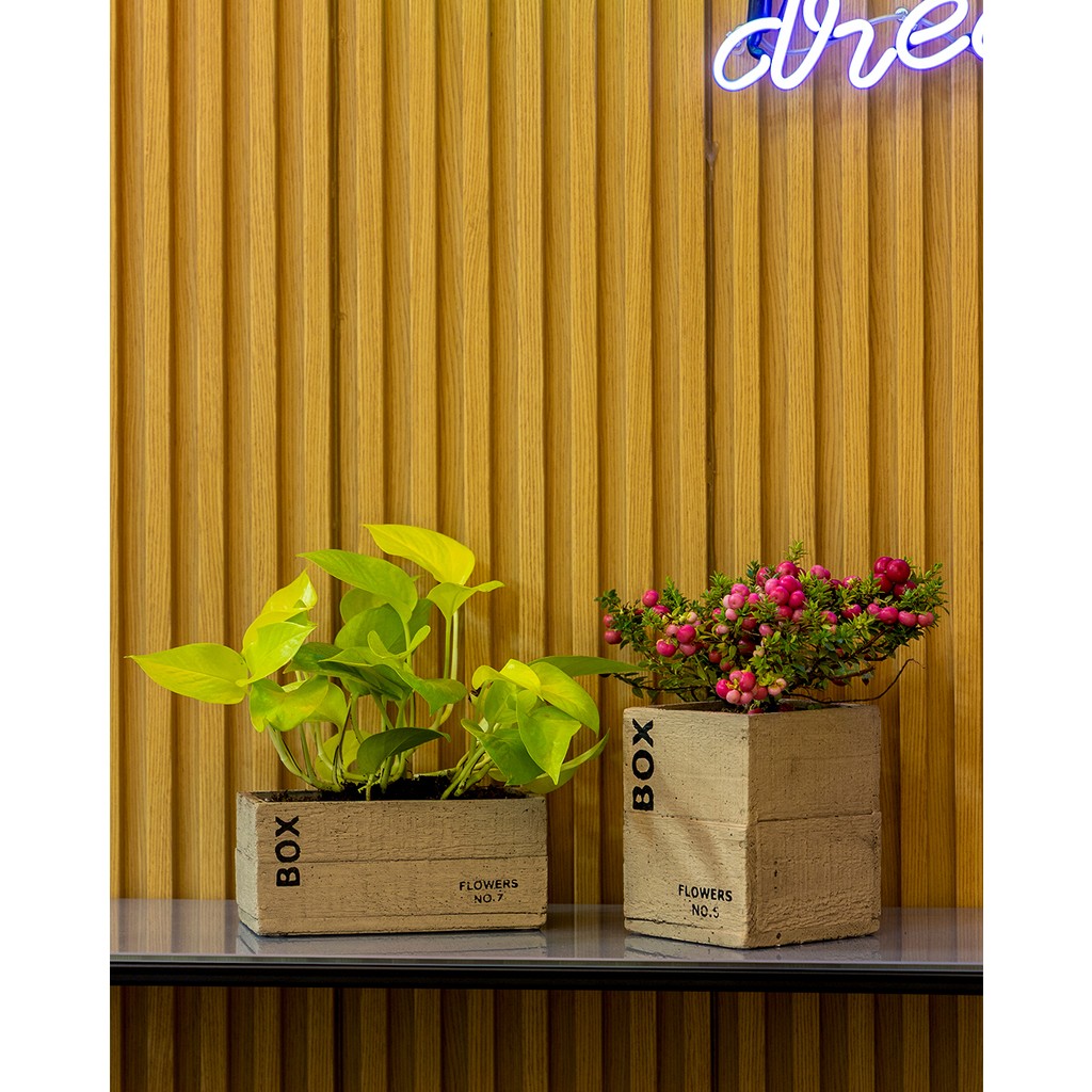Greenmall Clota Saksı 2'li Set - - - -- Saksı ve Aksesuarları Fiyatı