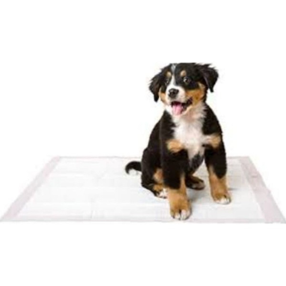 Greenpet Çiş Pedi 50×80CM 30'lu Paket Oto Boyaları Fiyatı