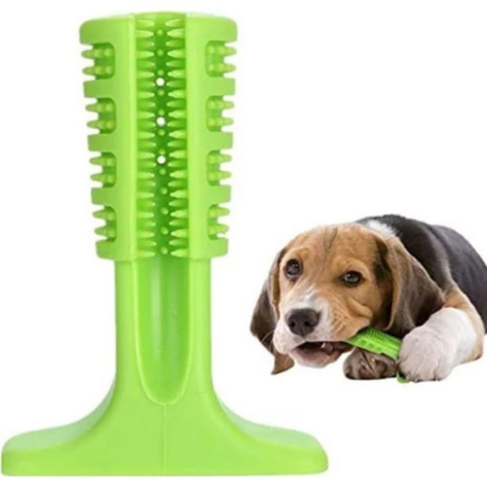 Greenpet Köpek Diş Bakım Fırçası - Yeşil - L Boy Evcil Hayvan Ürünleri Fiyatı