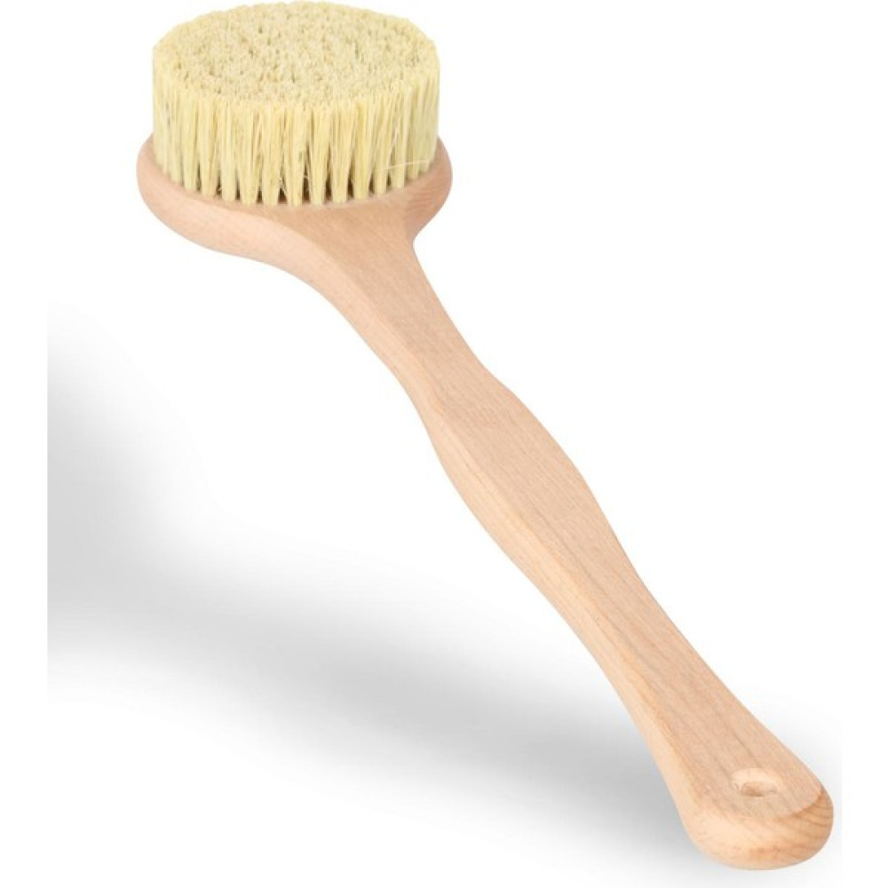 Groomed Doğal Tampiko Otu Saplı Banyo Fırçası Oto Boyaları Fiyatı