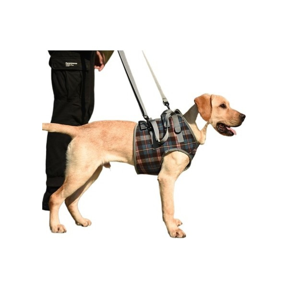 Guadiaola Köpek Ön Bacak Yardımcı Yürüme Bandı (Yurt Dışından) Evcil Hayvan Ürünleri Fiyatı