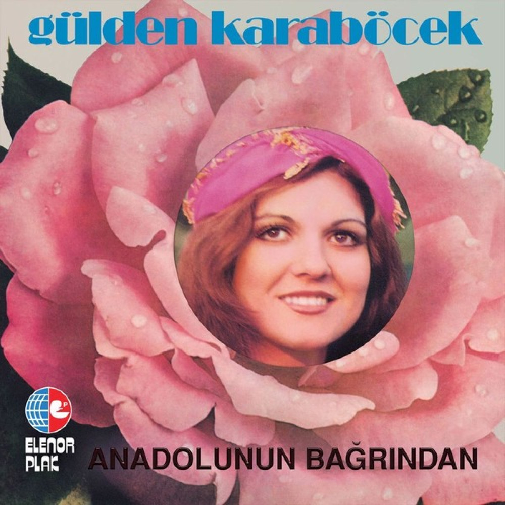 Gülden Karaböcek Anadolu' Nun Bağrından Plak Oto Boyaları Fiyatı