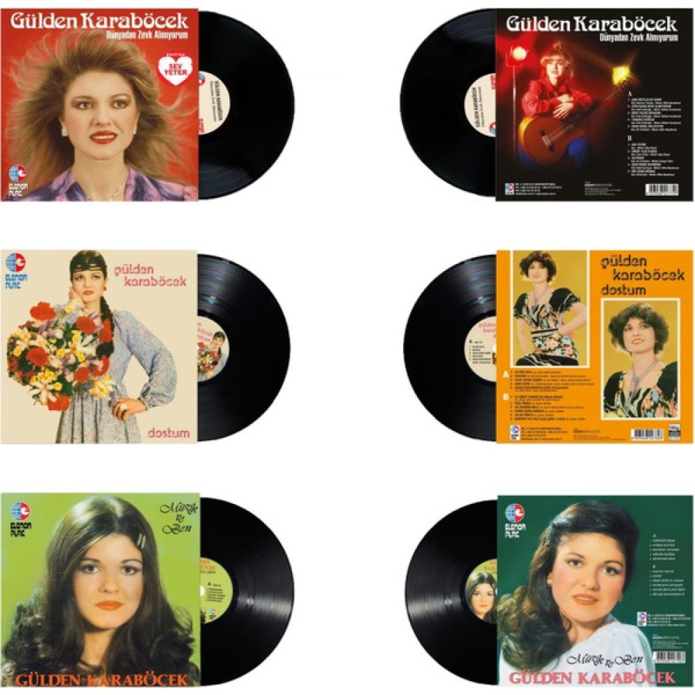 Gülden Karaböcek - Özel Set (3 Plak) Pikap & Aksesuarları Fiyatı