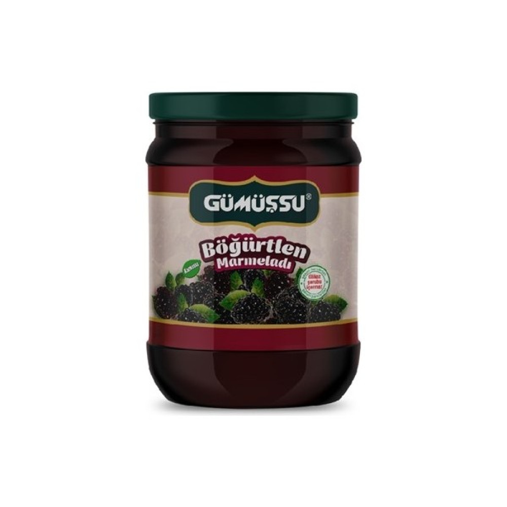 Gümüşsu Böğürtlen Marmelatı 800 Gr Oto Boyaları Fiyatı