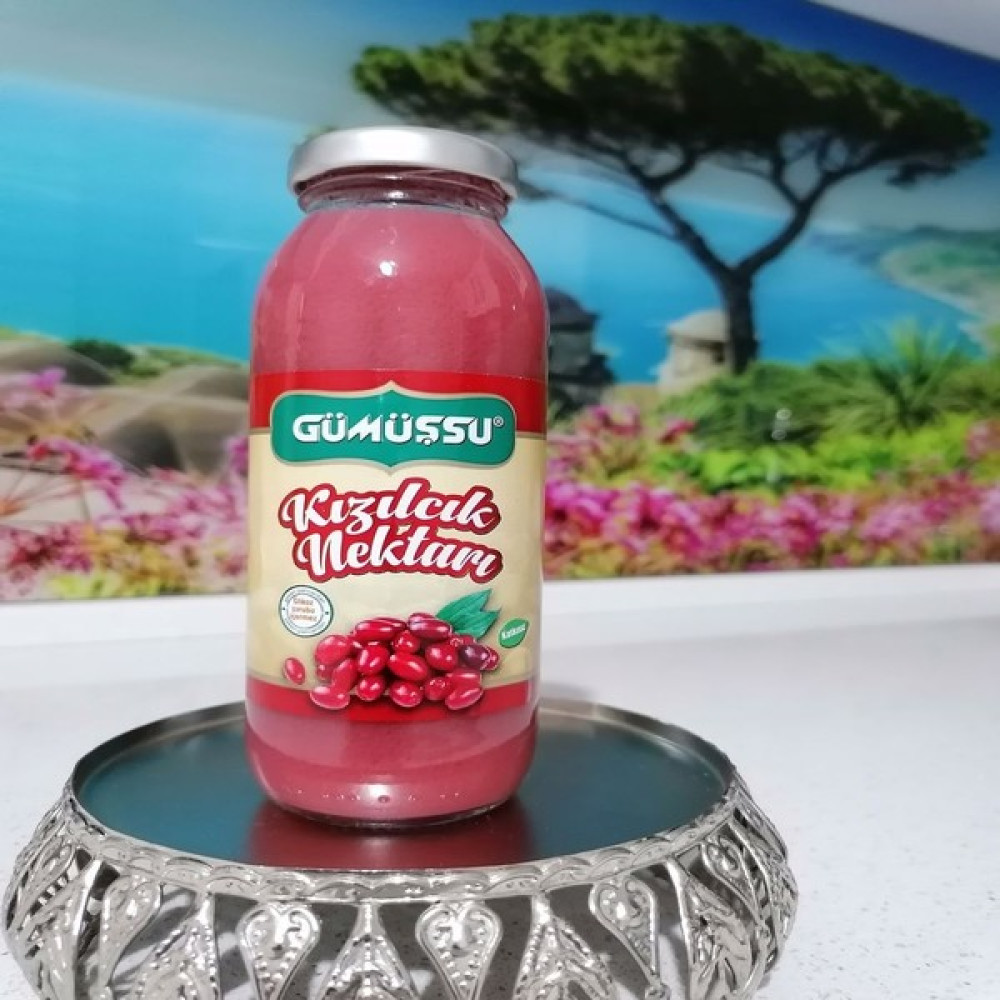 Gümüşsu Kızılcık Nektarı 250 ml (24'lü Koli) Diğer Fiyatı