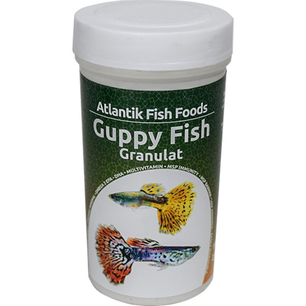 Guppy Fısh Granulat 100 ml Oto Boyaları Fiyatı