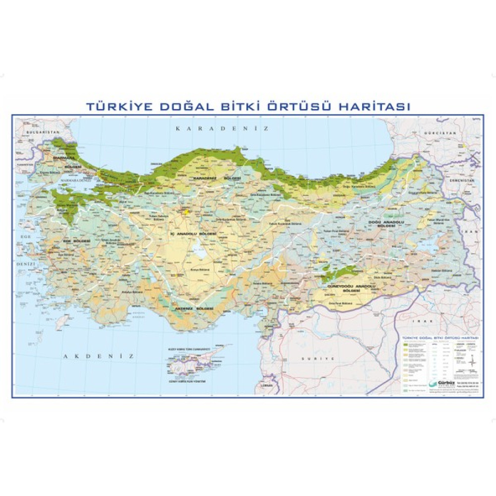 Gürbüz Yayınları Türkiye Bitki Örtüsü 70 x 100 cm Harita & Küre Fiyatı