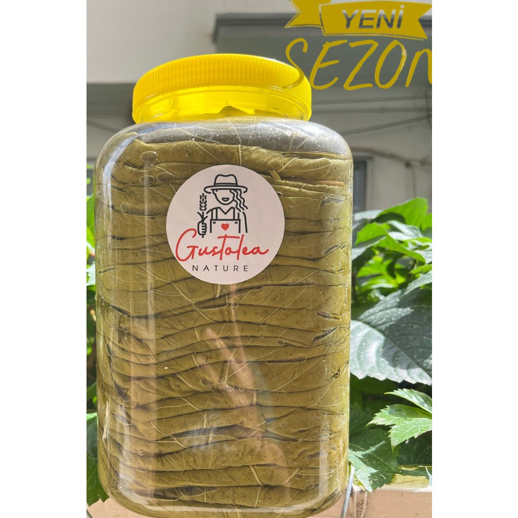 Gustolea Nature Manisa Sultaniye İlk Hasat İnce Damarsız Salamura Uç Asma Yaprağı 2026 Yeni Sezon - 5 kg Konserve Fiyatı