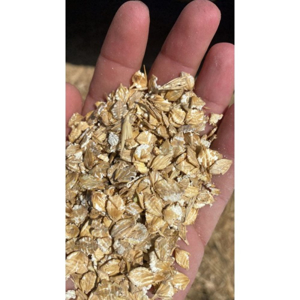 Güven Yem Arpa Ezmesi Kemirgen Hayvan Yemi 2 kg Paketli Evcil Hayvan Ürünleri Fiyatı