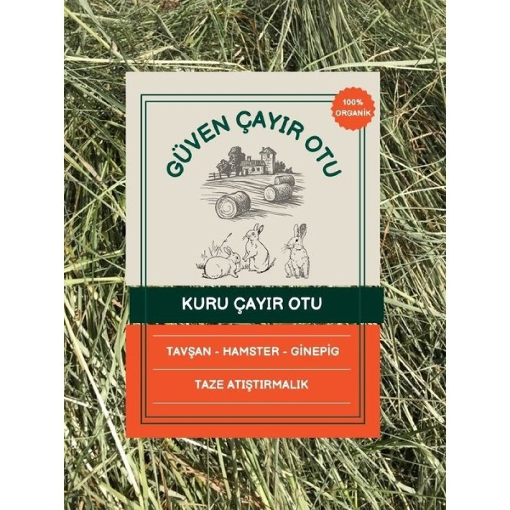 Güven Yemlik Çayır Otu Taze Yeşil ve Kuru Kemirgen Otu 2 kg Evcil Hayvan Ürünleri Fiyatı