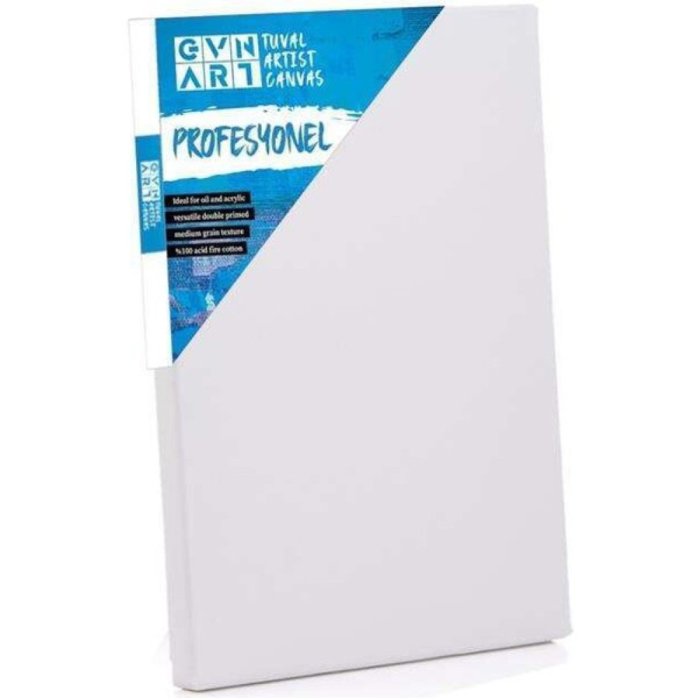 Gvn Art Profesyonel Tuval 20X60 cm Oto Boyaları Fiyatı